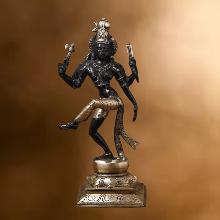 Brass Natraj Statue, Embrace the Rhythm of the Universe, Black Patina Finish 12.5"