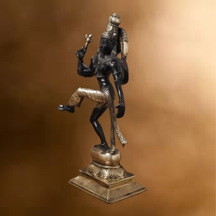 Brass Natraj Statue, Embrace the Rhythm of the Universe, Black Patina Finish 12.5"