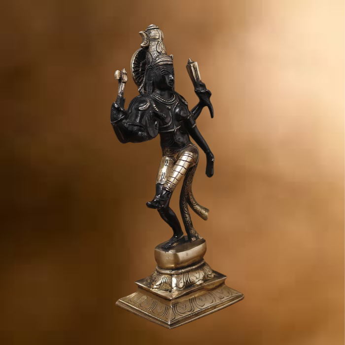 Brass Natraj Statue, Embrace the Rhythm of the Universe, Black Patina Finish 12.5"