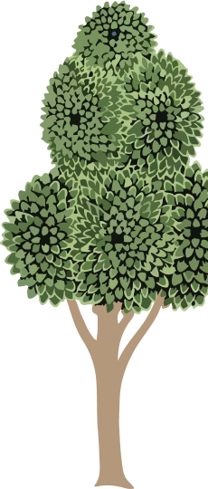 Right tree